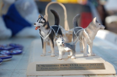 Чемпионат РКФ 2011,  Московская область, Коробово