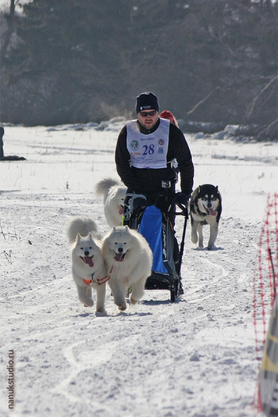 Чемпионат РКФ 2011,  Московская область, Коробово