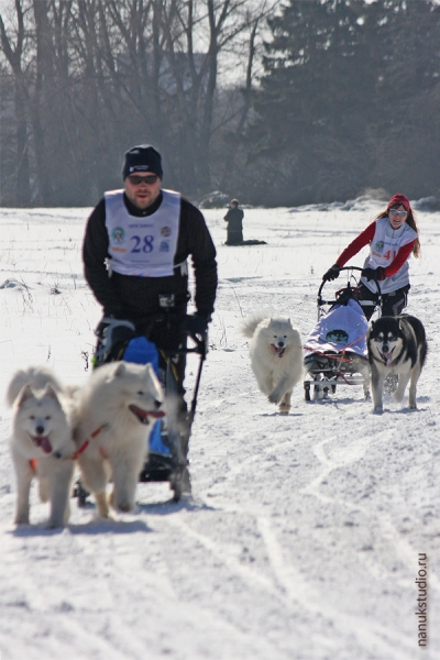 Чемпионат РКФ 2011,  Московская область, Коробово