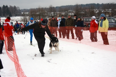Чемпионат России по ездовому спорту 2009