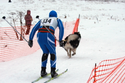 Чемпионат России по ездовому спорту 2009