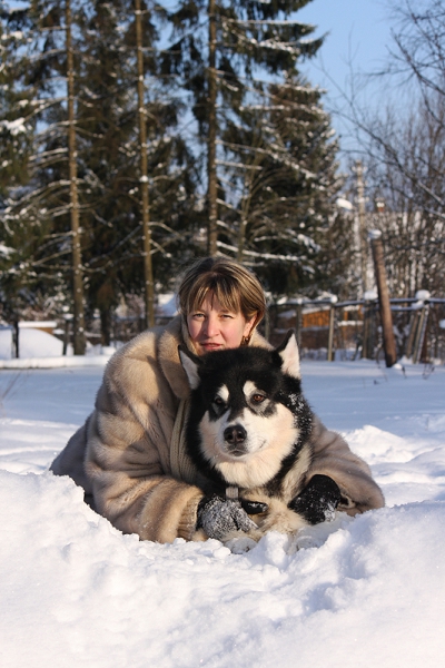 Аляскинский маламут Нанук - зима 2010