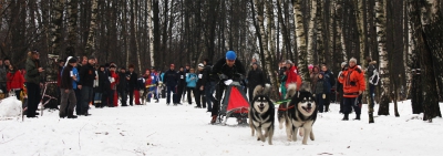 Новогодний Фест в Ромашково-2009