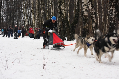 Новогодний Фест в Ромашково-2009