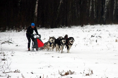 Новогодний Фест в Ромашково-2009