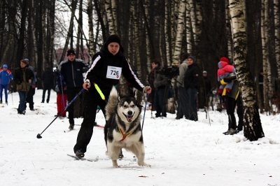 Новогодний Фест в Ромашково-2009