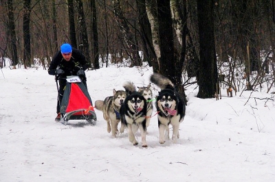 Новогодний Фест в Ромашково-2009