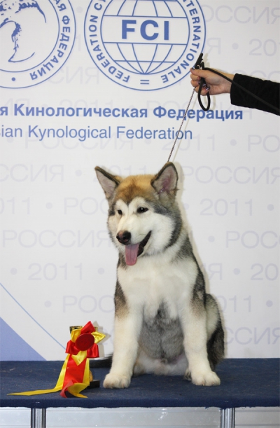 Международная выставка \"Россия 2011\"