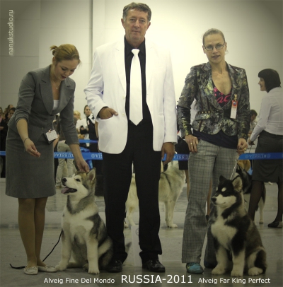 Международная выставка \"Россия 2011\"