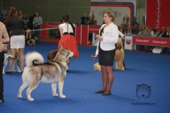 Россия-2012